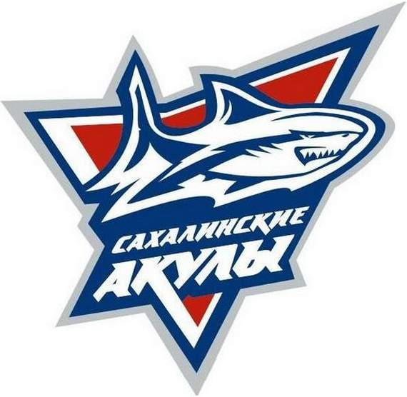 Sakhalinskie Akuly 2014-Pres Primary Logo iron on transfers for T-shirts